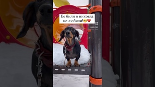 Лялю предала семья! Срочно нужен новый дом