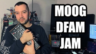 MOOG DFAM JAMOUT