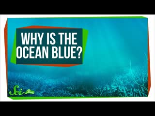Why Is the Ocean Blue