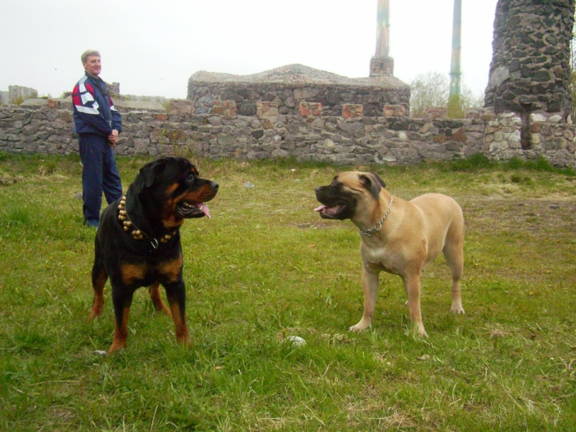 Виктория Самойлова | Североморск