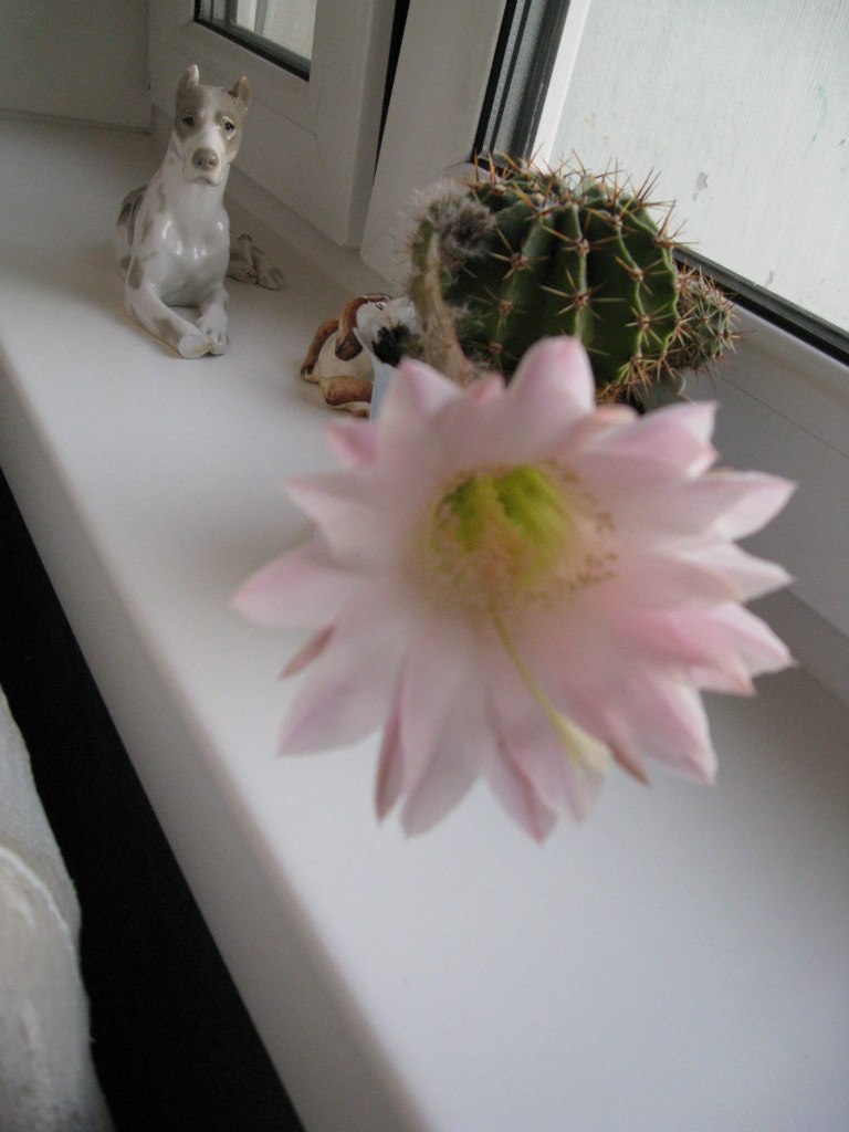 Кирилл Мусатов | Москва