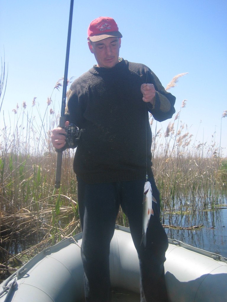 Дмитрий Сапрыкин | Орёл