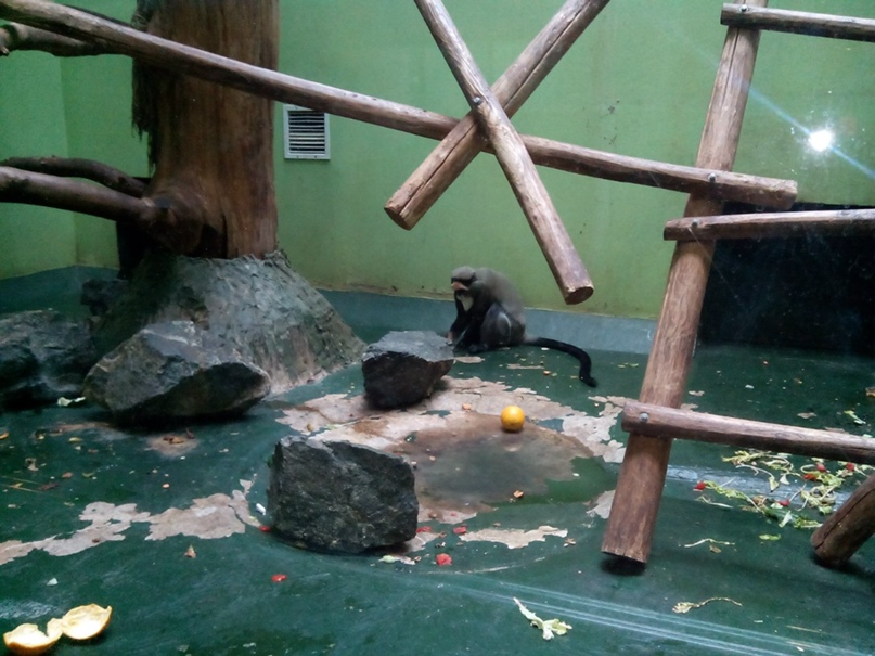 Ирина Вихарева | Ижевск