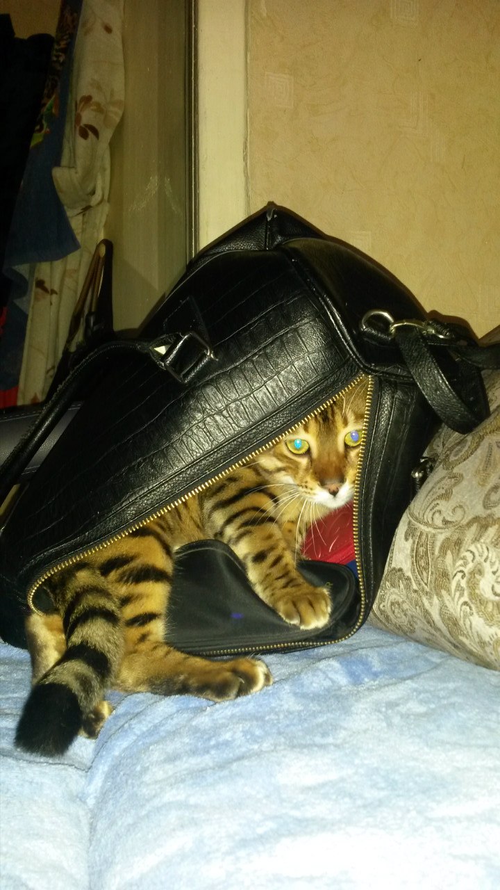 Михаил Крюков | Ярославль