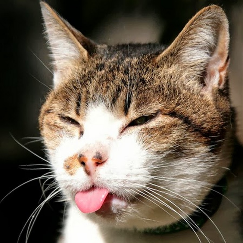 Игорь Тимченко | Минск