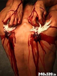 Владимир Белоус | Николаев