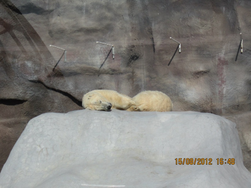 Анастасия Катаева | Ижевск