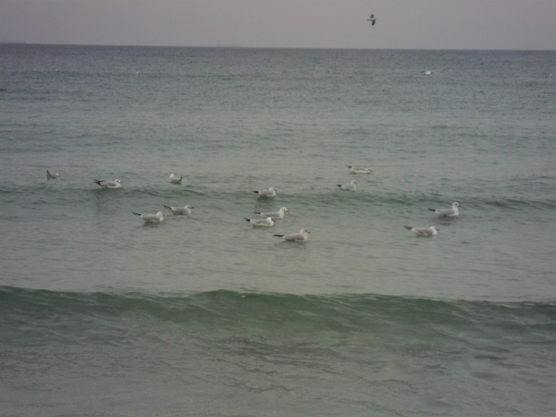 Ирина Мельниченко | Одесса