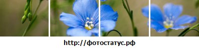Олеся Кудряшова ·٠•●๑۩ ۩๑●•٠· | Юбилейный