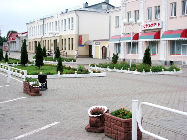 Владимир Миронов | Шклов
