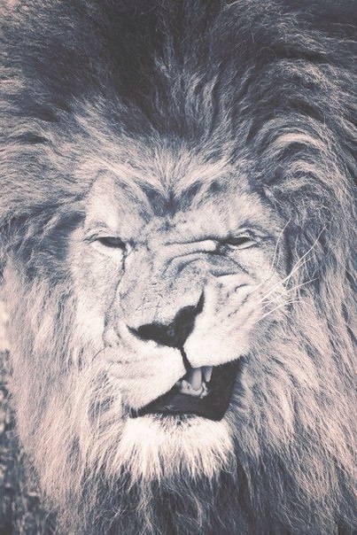 Александр Остапчук | Хабаровск