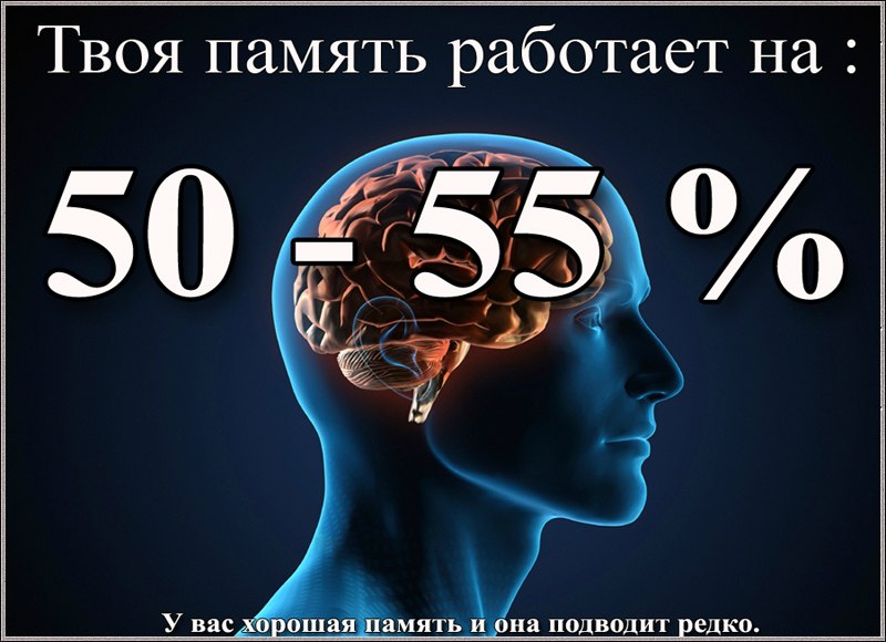 Светлана Кроль | Челябинск