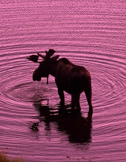 Варвара Громыко | Москва