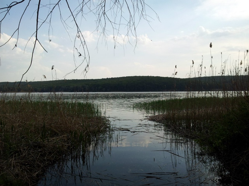 Игорь Юрьев | Харьков