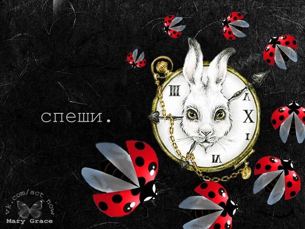 Алина Горшкова | Пенза