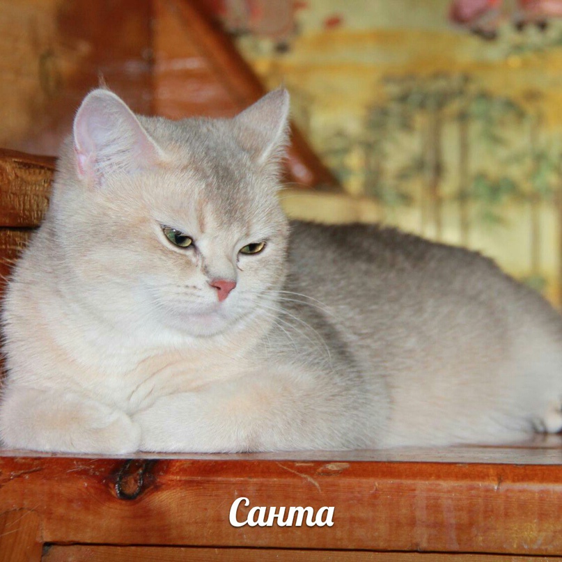 Наталья Сотникова | Приморск