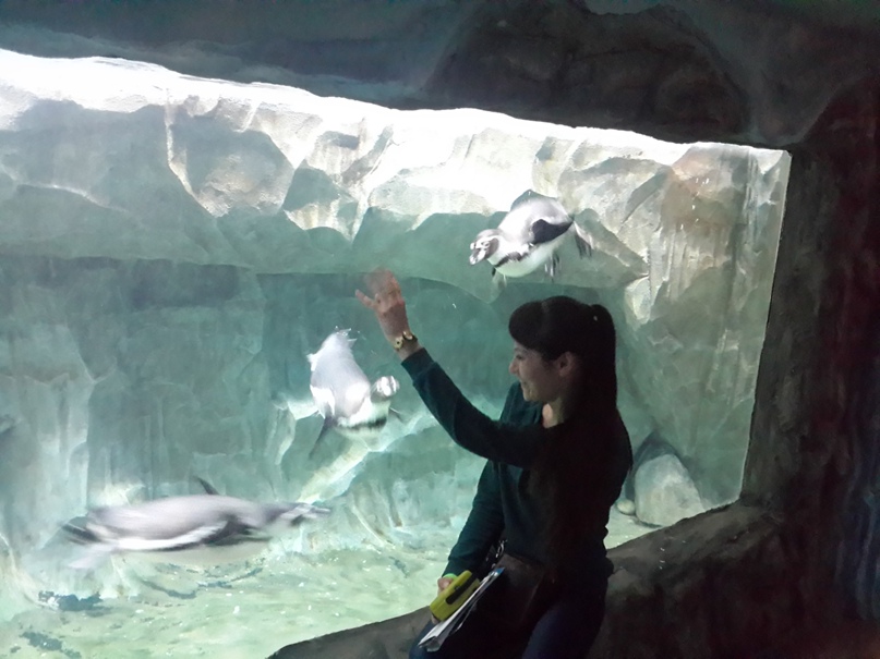 Диана Иванова |