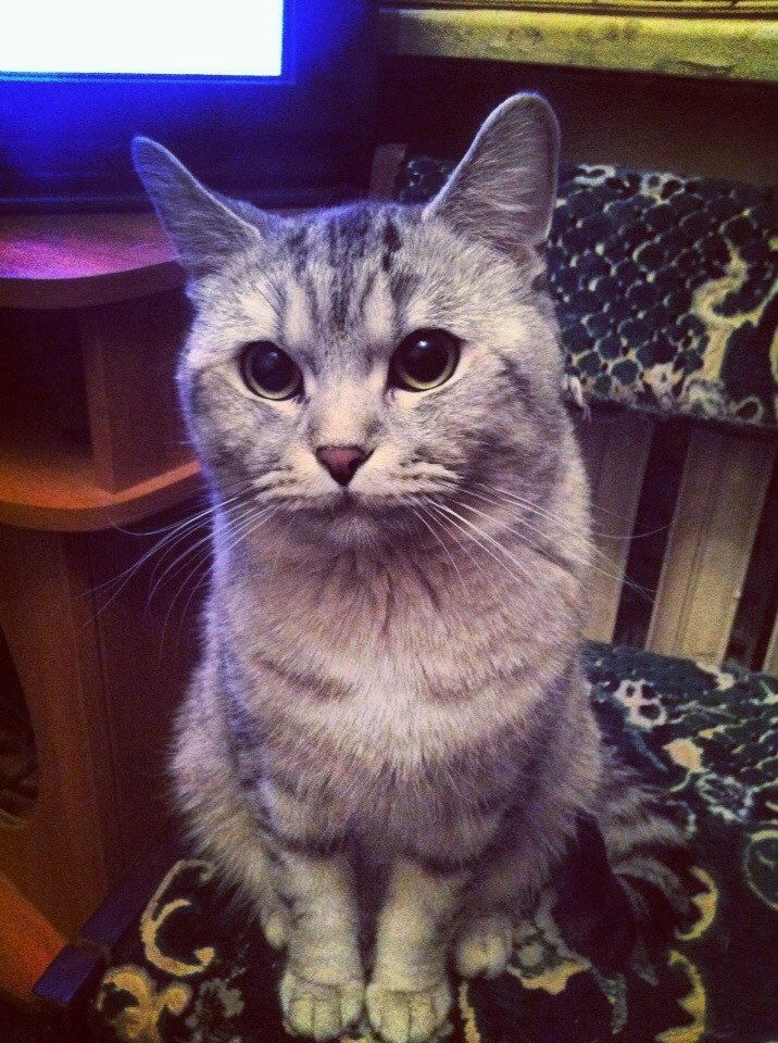 Егор Свешников | Москва