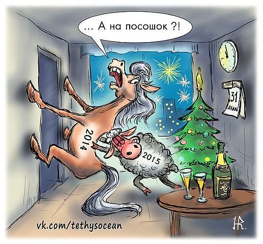 Диана Грикурова Dik@ |