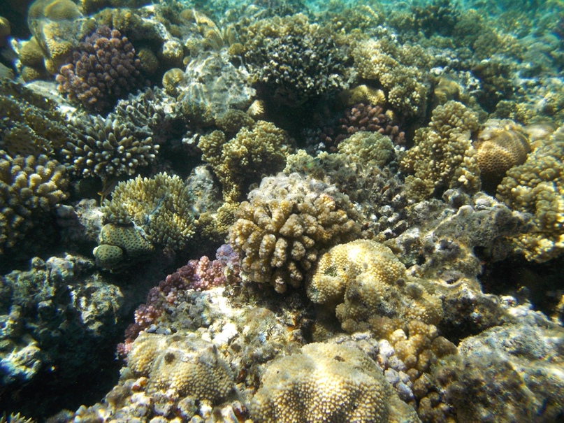 Александр Сугробов (by Alexander $) | Воронеж