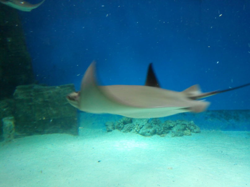 Сергей Горячев | Ульяновск