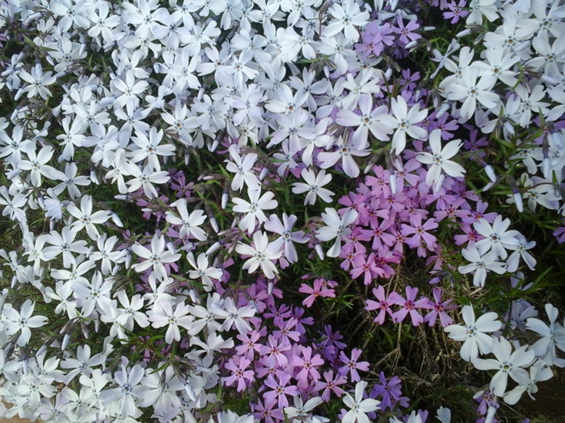 Лариса Макаркина | Одесса