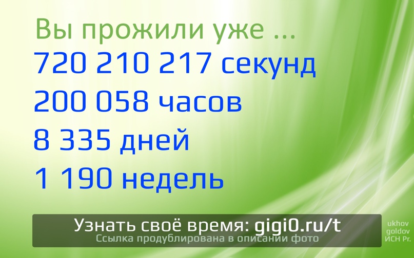 Матвей Дмитриев |