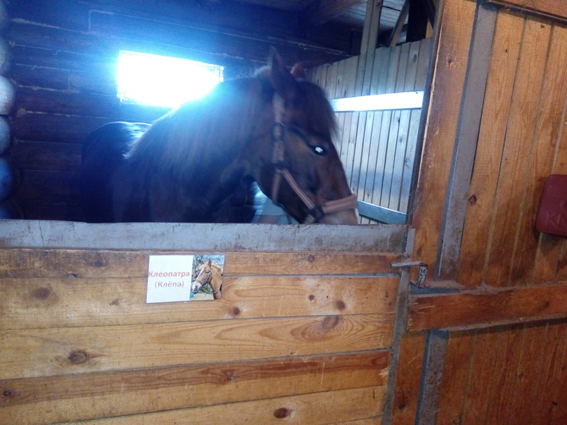 Виталий Булгаков | Санкт-Петербург