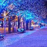Юлия Олейник | Днепр (Днепропетровск)
