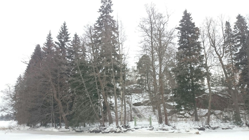 Егор Шустов | Санкт-Петербург