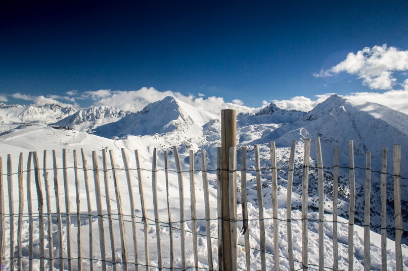 Артем Остапов Staller | Харьков