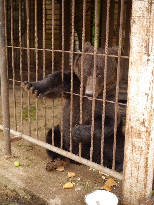 Роман Быстров | Санкт-Петербург