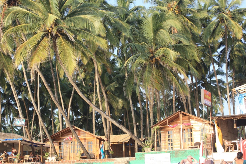 Петр Попов | Воронеж