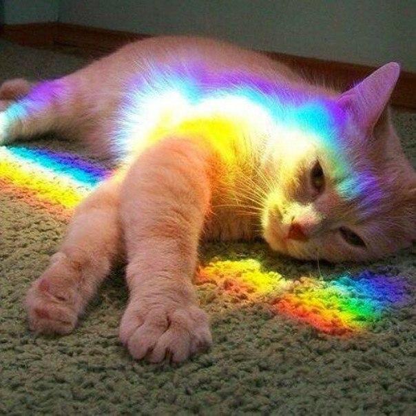 Анастасия Булыгина | Новоуральск