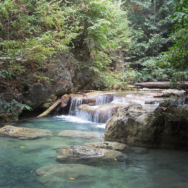 Вероника Котова | Сочи