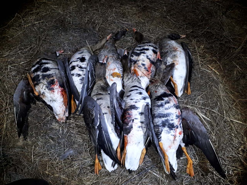 Александр Старов | Нижний Новгород