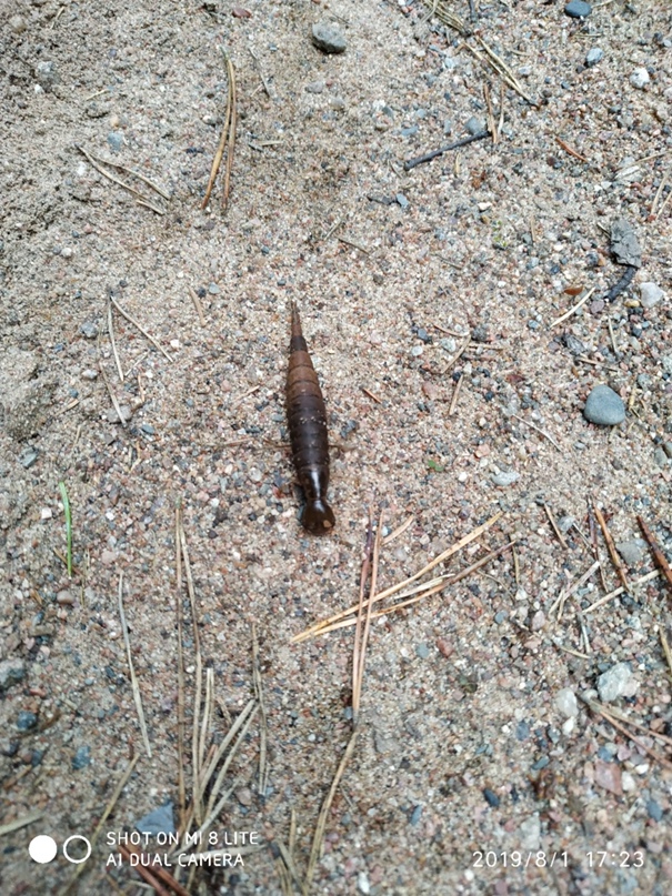 Александр Ищенко | Санкт-Петербург