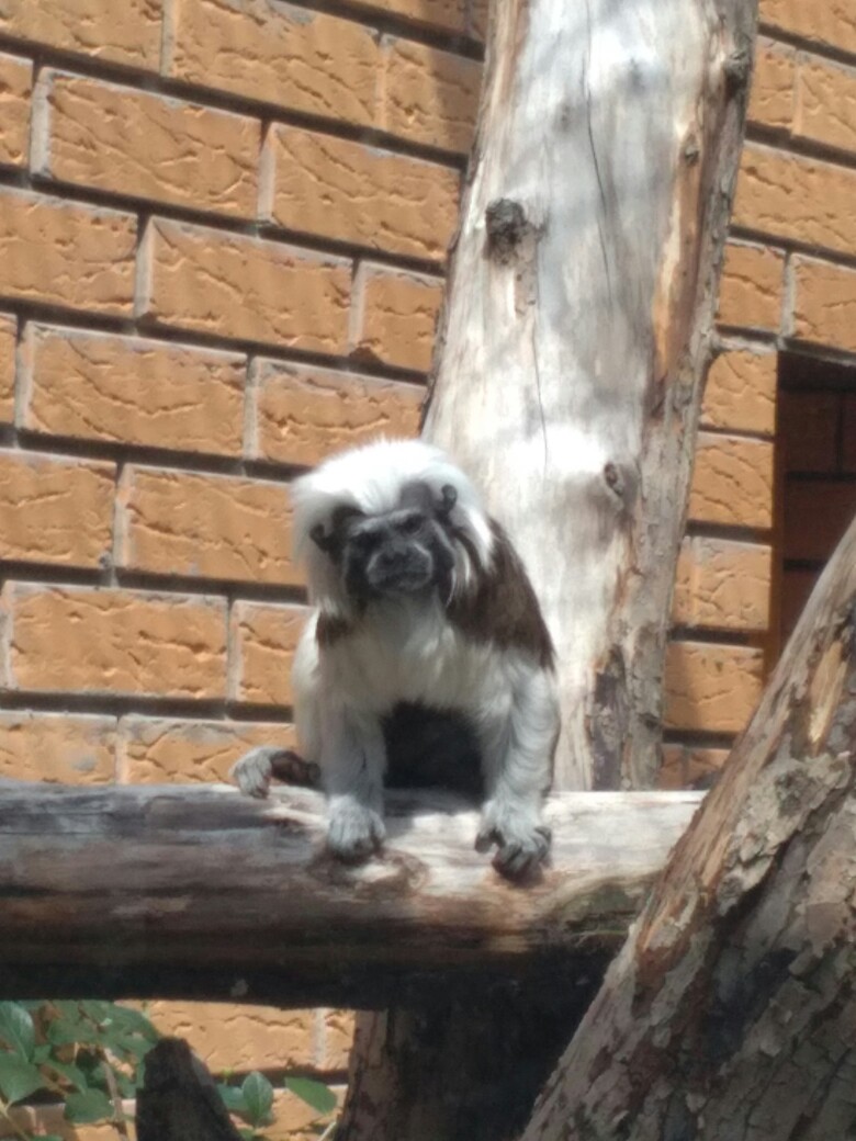 Жанна Аникина | Омск