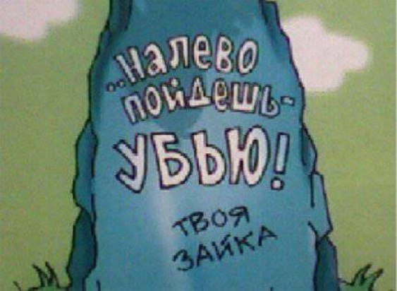 Эльвира Данилова | Вологда