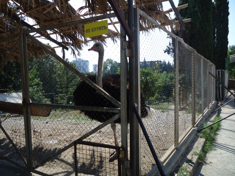 Марина Илларионова | Ярославль (деревня)