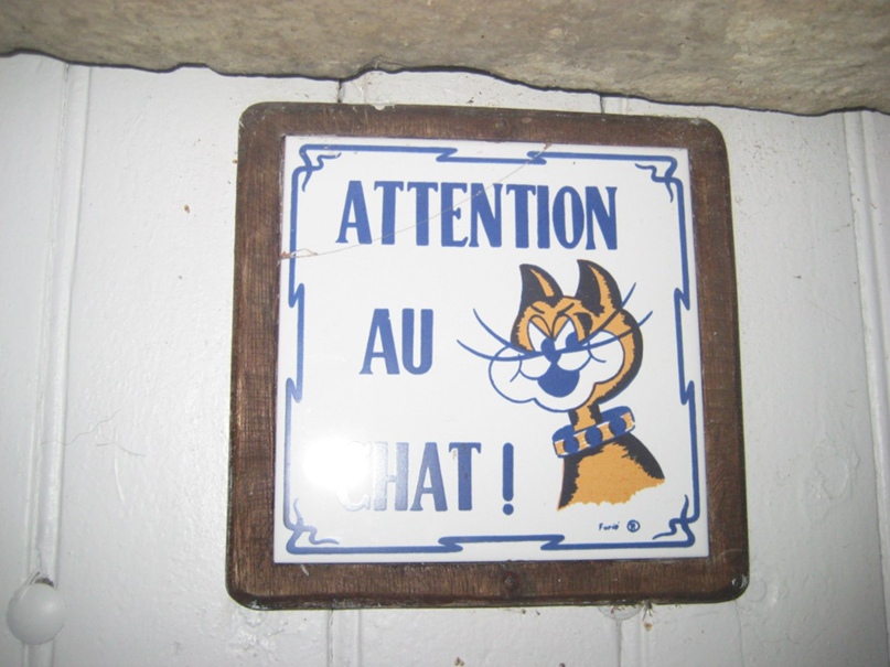 Мария Шевцова | Москва