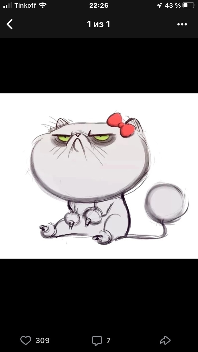 Мария Мишина | Долгопрудный