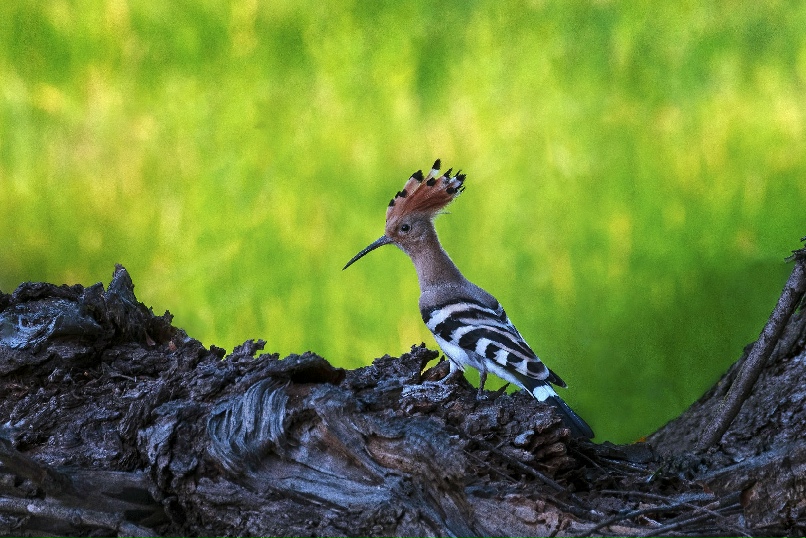 Василий Дудин | Астрахань