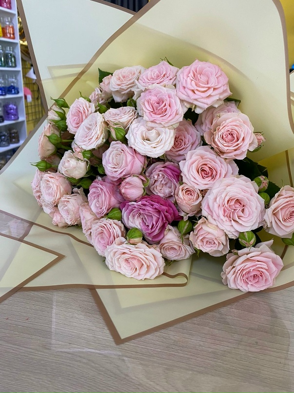 Ольга Касаткина | Пласт