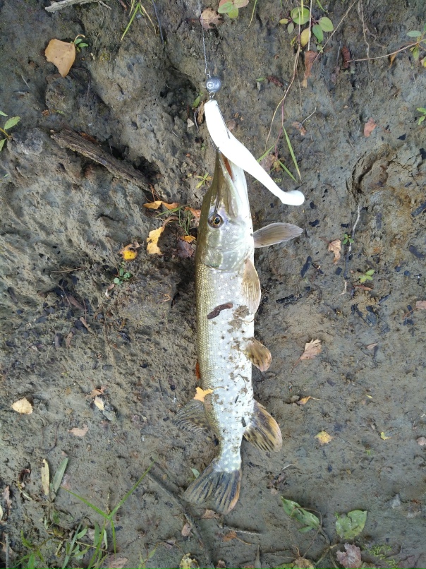 Иван Бобрик | Омск