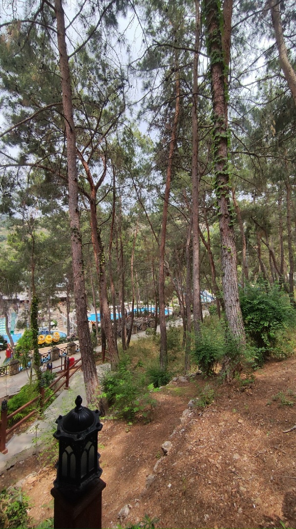 Лилия Галиева | Оренбург