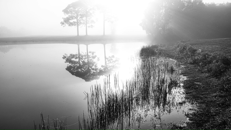 Юрий Мельников | West Palm Beach