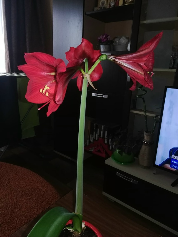 Наталья Захарченко | Кандалакша