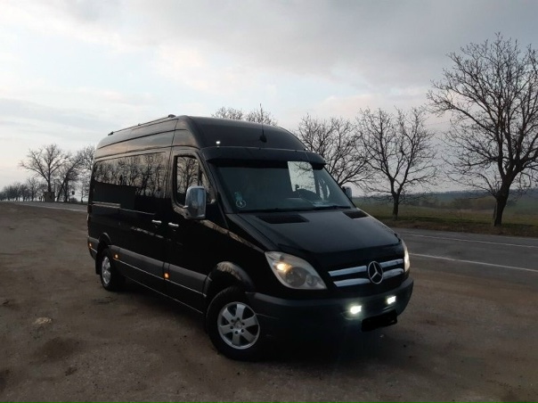 Мерседес дельфин фото Мерседес дельфин фото