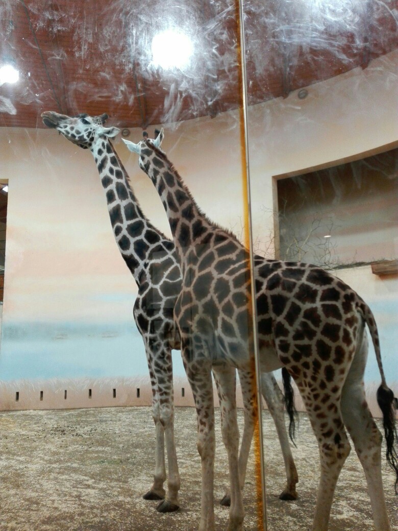 Марина Михайлова | Санкт-Петербург